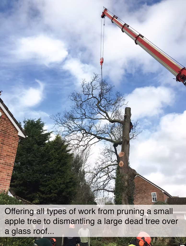 Crane arm attached to a dismantled tree in front of a house.