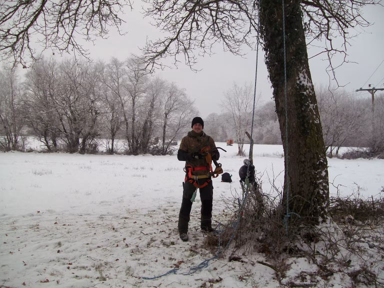 Tree Surgeon at the bottom of a tree with ropes and equipment in winter snow.